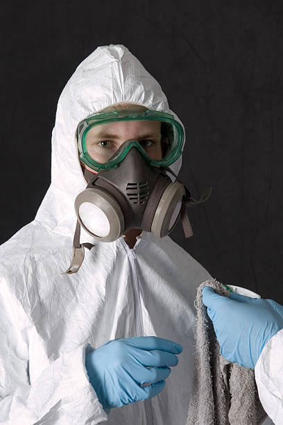 Professional Mold Inspection, Removal & Remediation in Moscow, PA